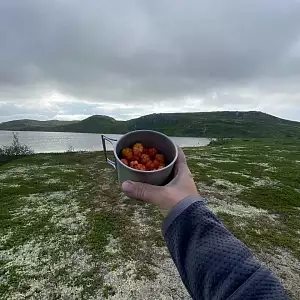 Фото отзыва