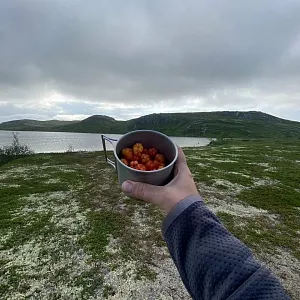 Фото отзыва