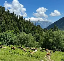 ополнительное фото тура 