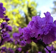 ополнительное фото тура 