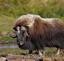 ополнительное фото тура 