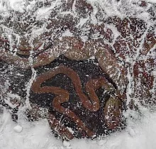 ополнительное фото тура 