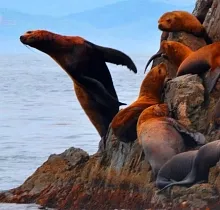 ополнительное фото тура 