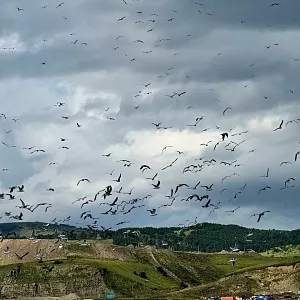 Фото отзыва