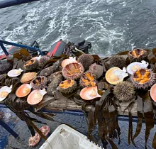 ополнительное фото тура 