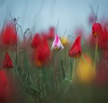 ополнительное фото тура