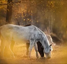 ополнительное фото тура 