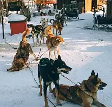 ополнительное фото тура 