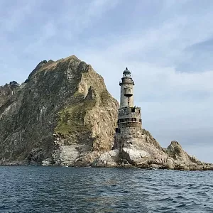 Фото отзыва