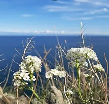 ополнительное фото тура 