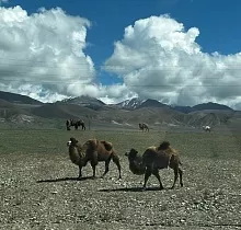 ополнительное фото тура 