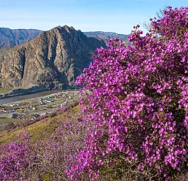 Тур Тур по Осетии, 3 дня