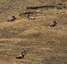 ополнительное фото тура 