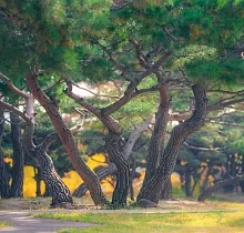 ополнительное фото тура 