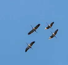 ополнительное фото тура 