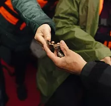 ополнительное фото тура 