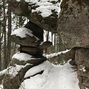 Фото отзыва