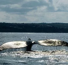 ополнительное фото тура 