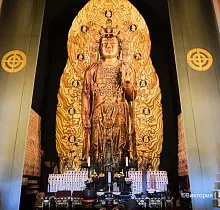 Фото дня 2 тура ПОЛНЫЙ ТУР ПО ЯПОНИИ 15 ДНЕЙ