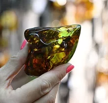 ополнительное фото тура 