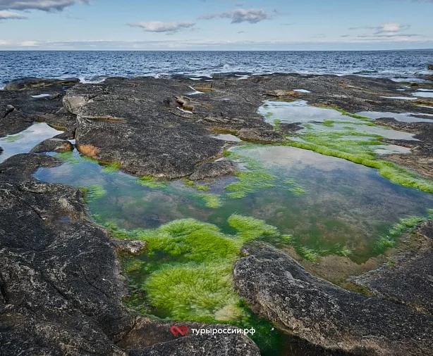 Изображение статьи Туристический маршрут на Полуостров Средний и Рыбачий – как добраться и что посмотреть Туры России