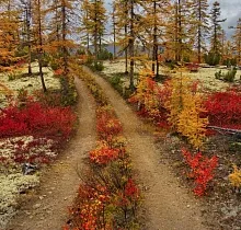 ополнительное фото тура 