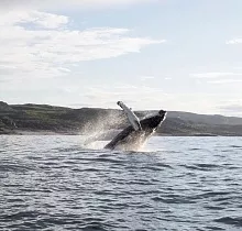 ополнительное фото тура 