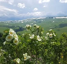 ополнительное фото тура 