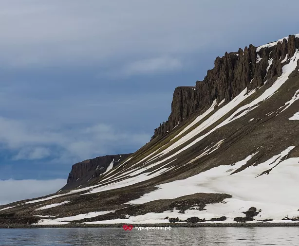Изображение статьи Где в российской Арктике можно увидеть моржей? Туры России