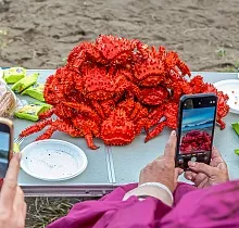 ополнительное фото тура 