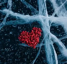 ополнительное фото тура