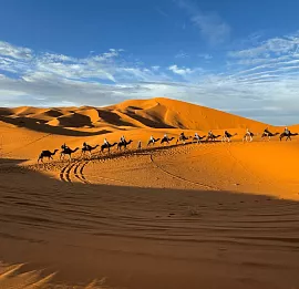 Тур Марокко комфорт-тур  8 дней