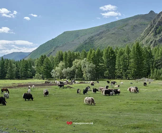 Изображение статьи Отдых в Республике Тыва: как добраться, где жить, что посмотреть Туры России