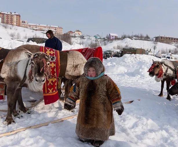 Изображение статьи День Оленевода, Салехард Туры России