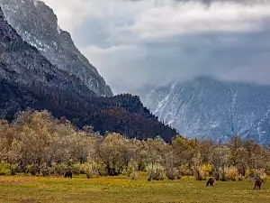 Осень на Алтае