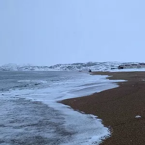 Фото отзыва