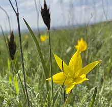 ополнительное фото тура 