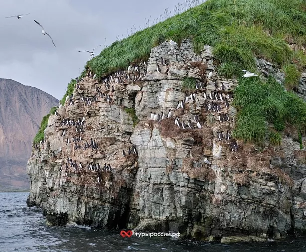 Изображение статьи Национальный парк «Берингия» — как добраться, где жить, что посмотреть Туры России