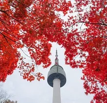 ополнительное фото тура 