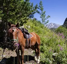 ополнительное фото тура 