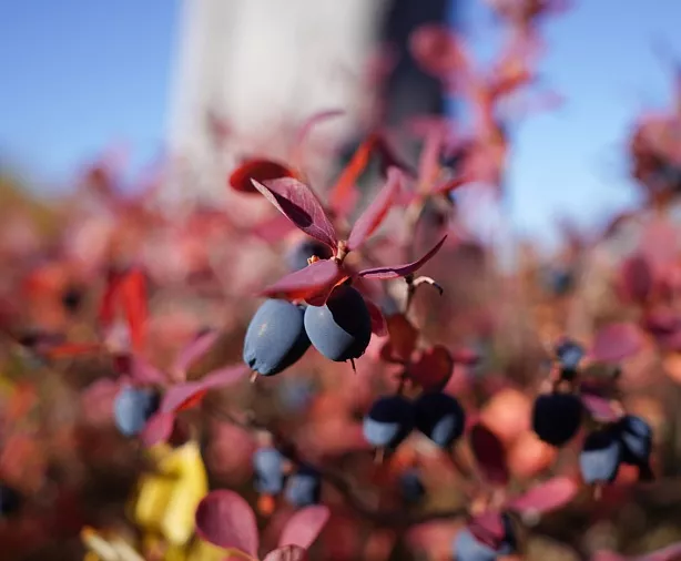 Изображение статьи Личный опыт отдыха на Плато Путорана, база на озере Лама Туры России
