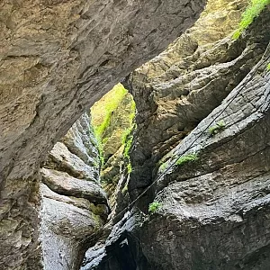 Фото отзыва