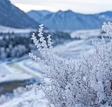 ополнительное фото тура 