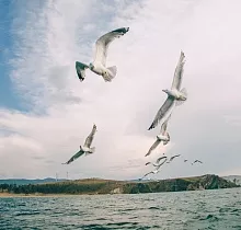 ополнительное фото тура 