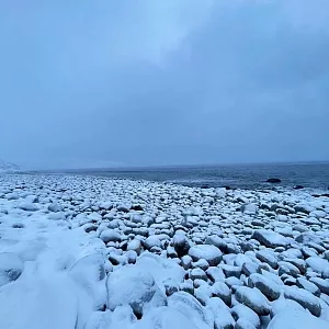 Фото отзыва