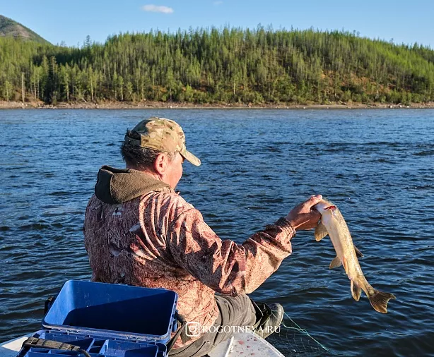 Изображение статьи Экспедиция на Индигирку: путешествие в сердце дикой Якутии с целью фотографирования пейзажа Туры России