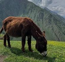 ополнительное фото тура 