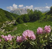 ополнительное фото тура 