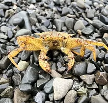 ополнительное фото тура 