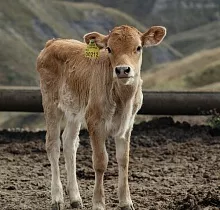 ополнительное фото тура 